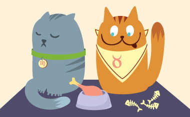 cat illustrations